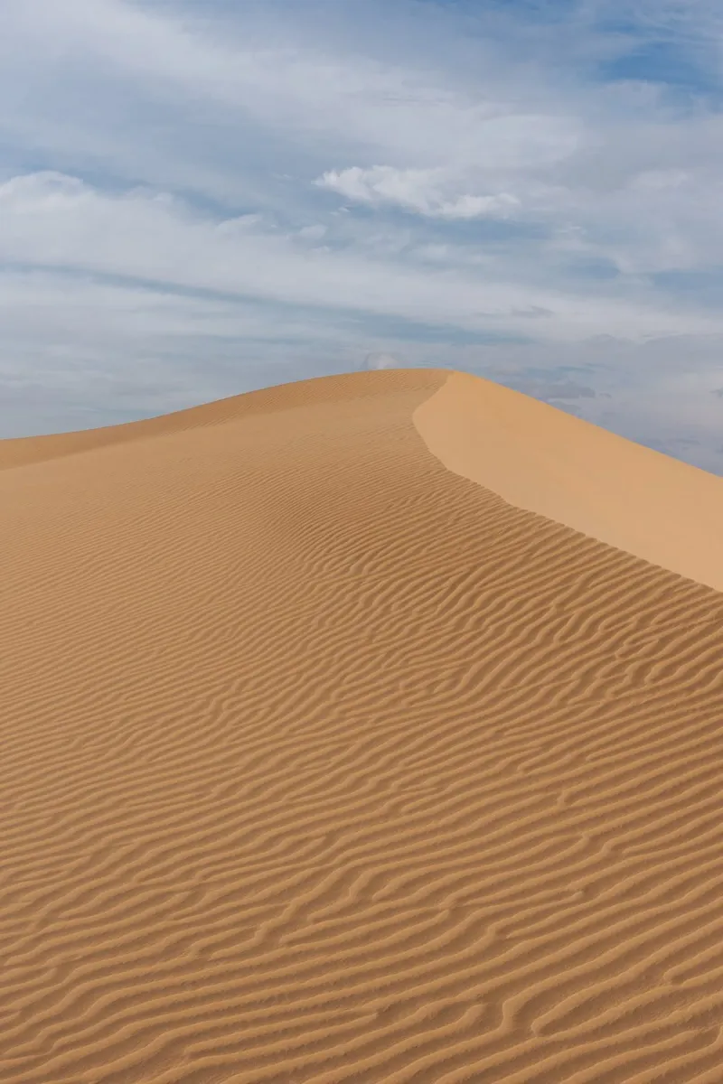 Sand dune in the Sahara desert in Mauritania pellicola backlit da photolovers