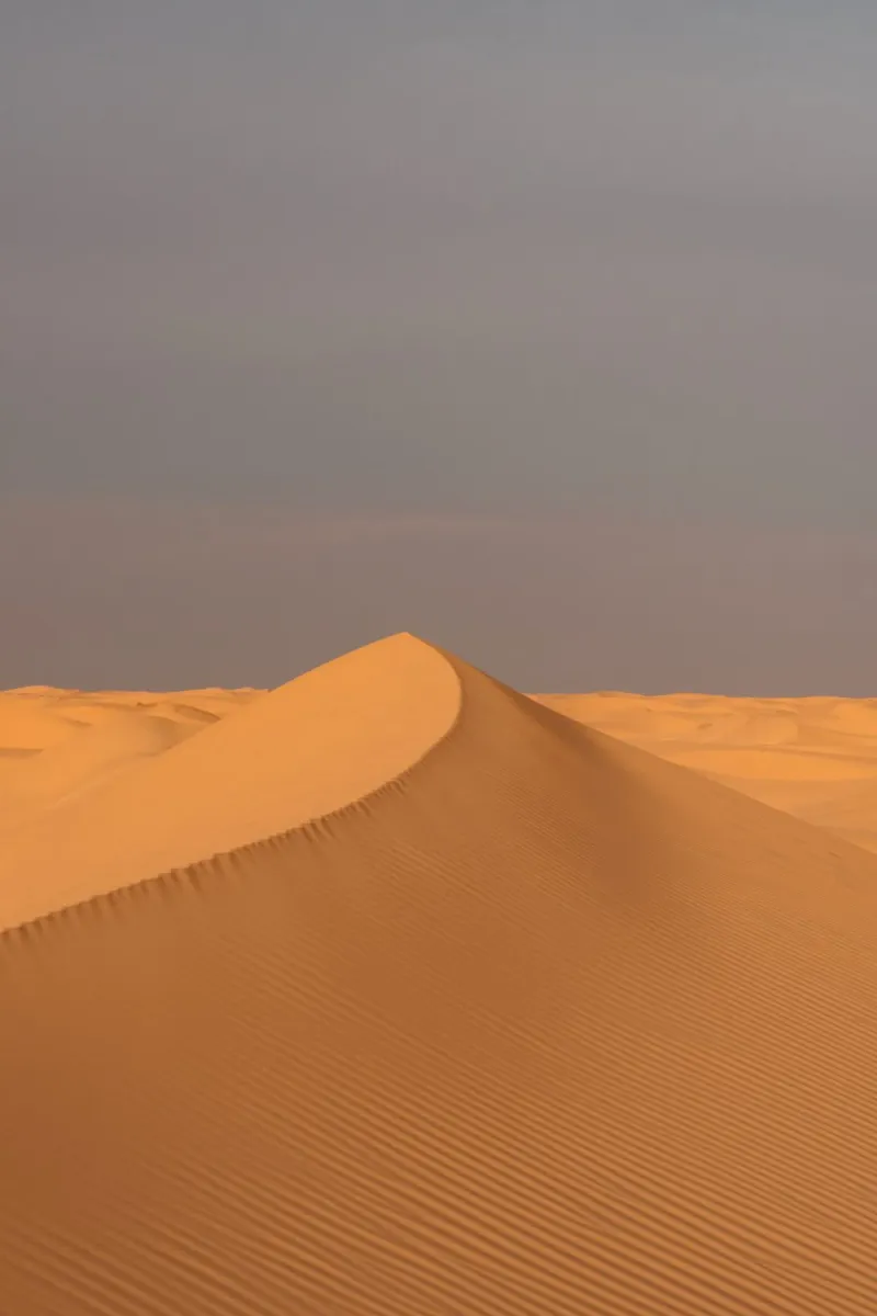 Sand dune in orange sunset pellicola backlit da photolovers