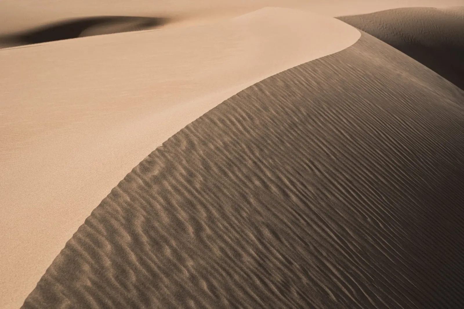 Art of a sand dune in the Middle East pellicola backlit da photolovers