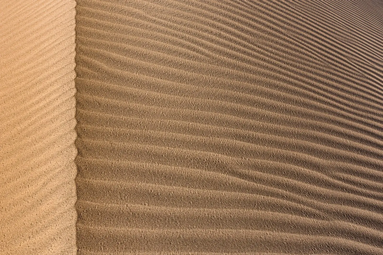 Pattern of sand pellicola backlit da photolovers
