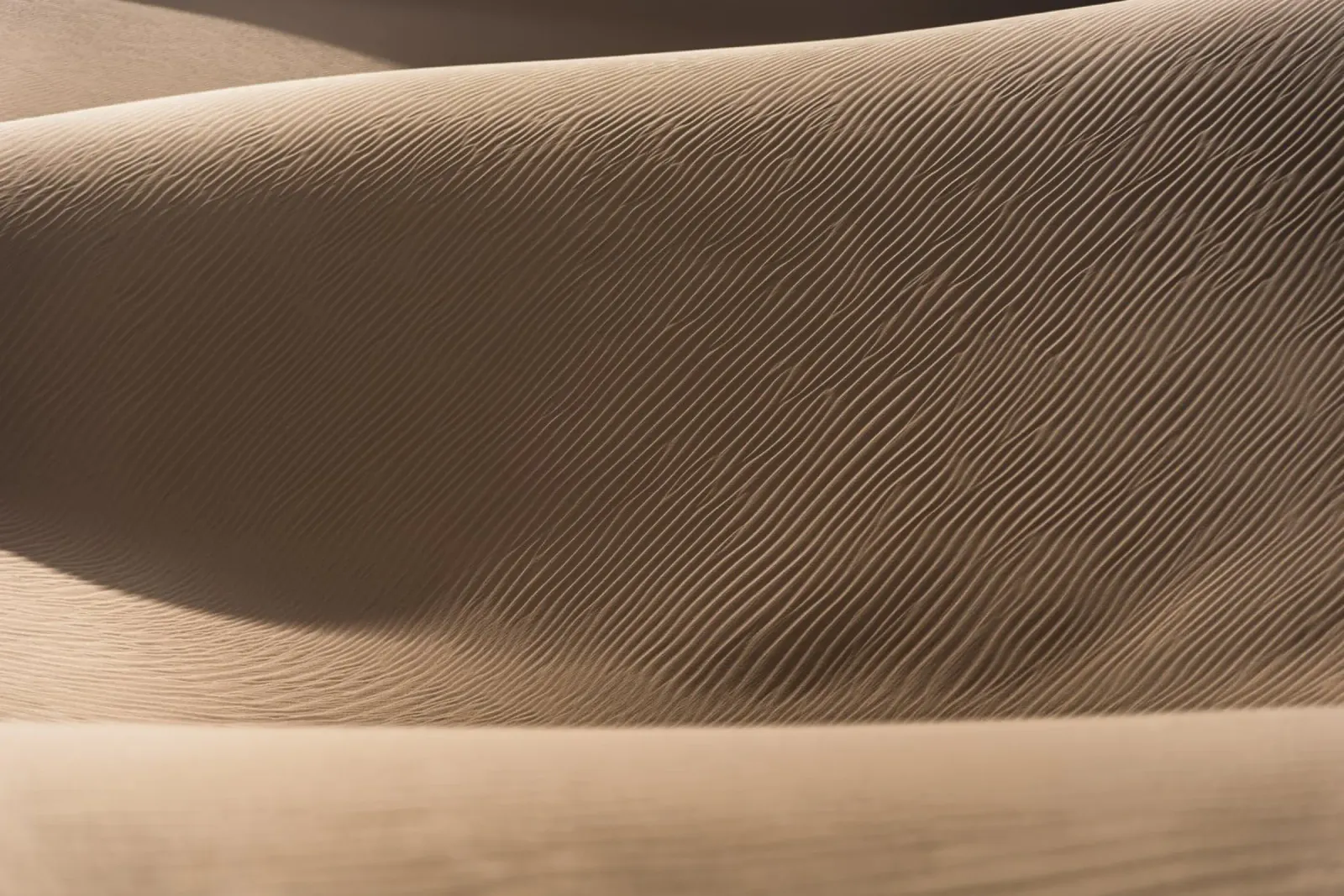 Art of light in the desert pellicola backlit da photolovers
