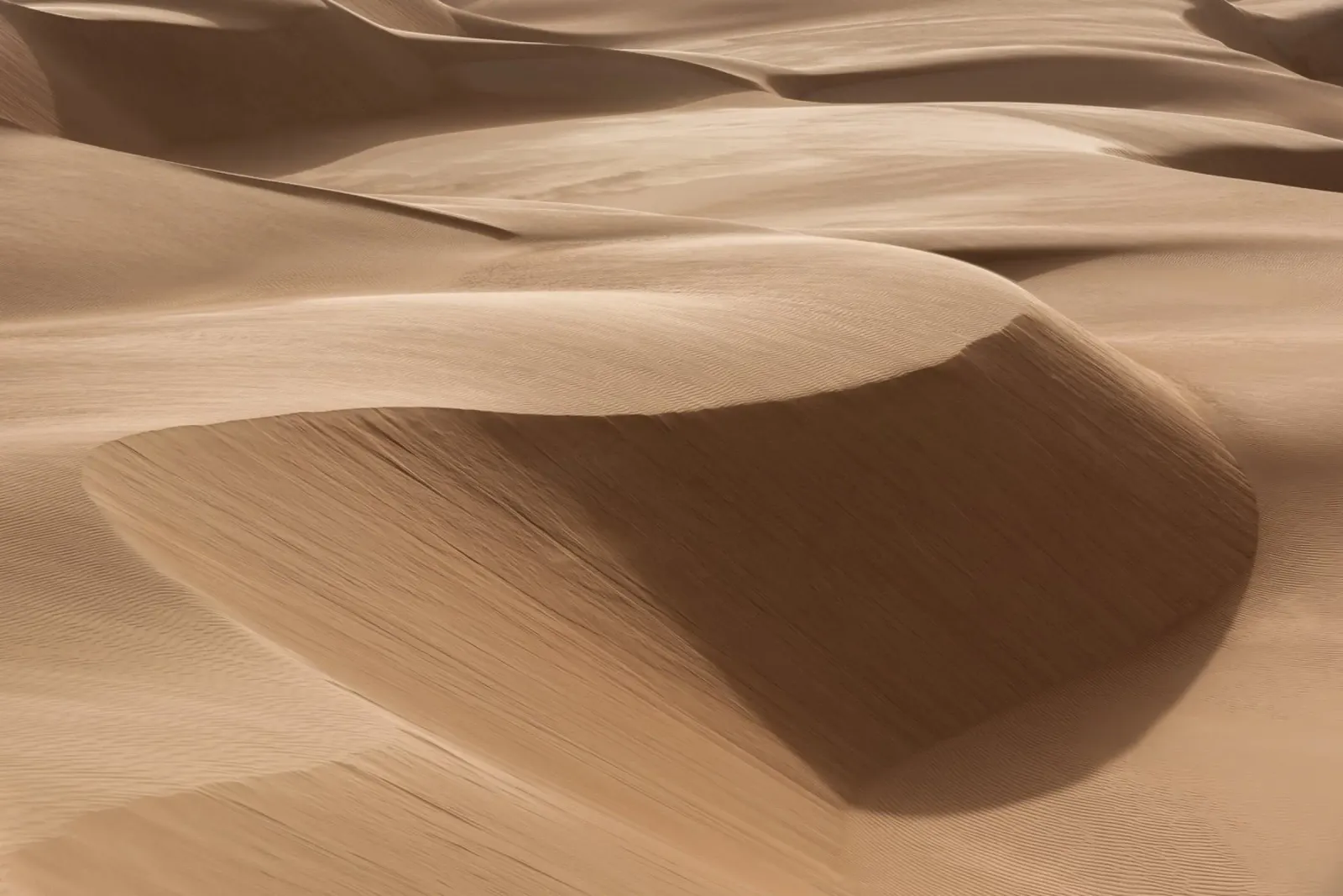 Shape of sand pellicola backlit da photolovers