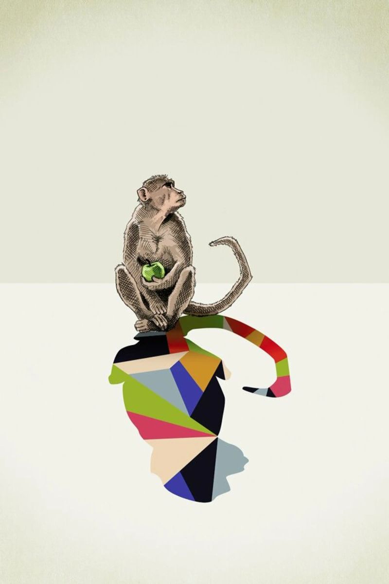 Walking Shadow - Monkey pellicola backlit da Jason Ratliff