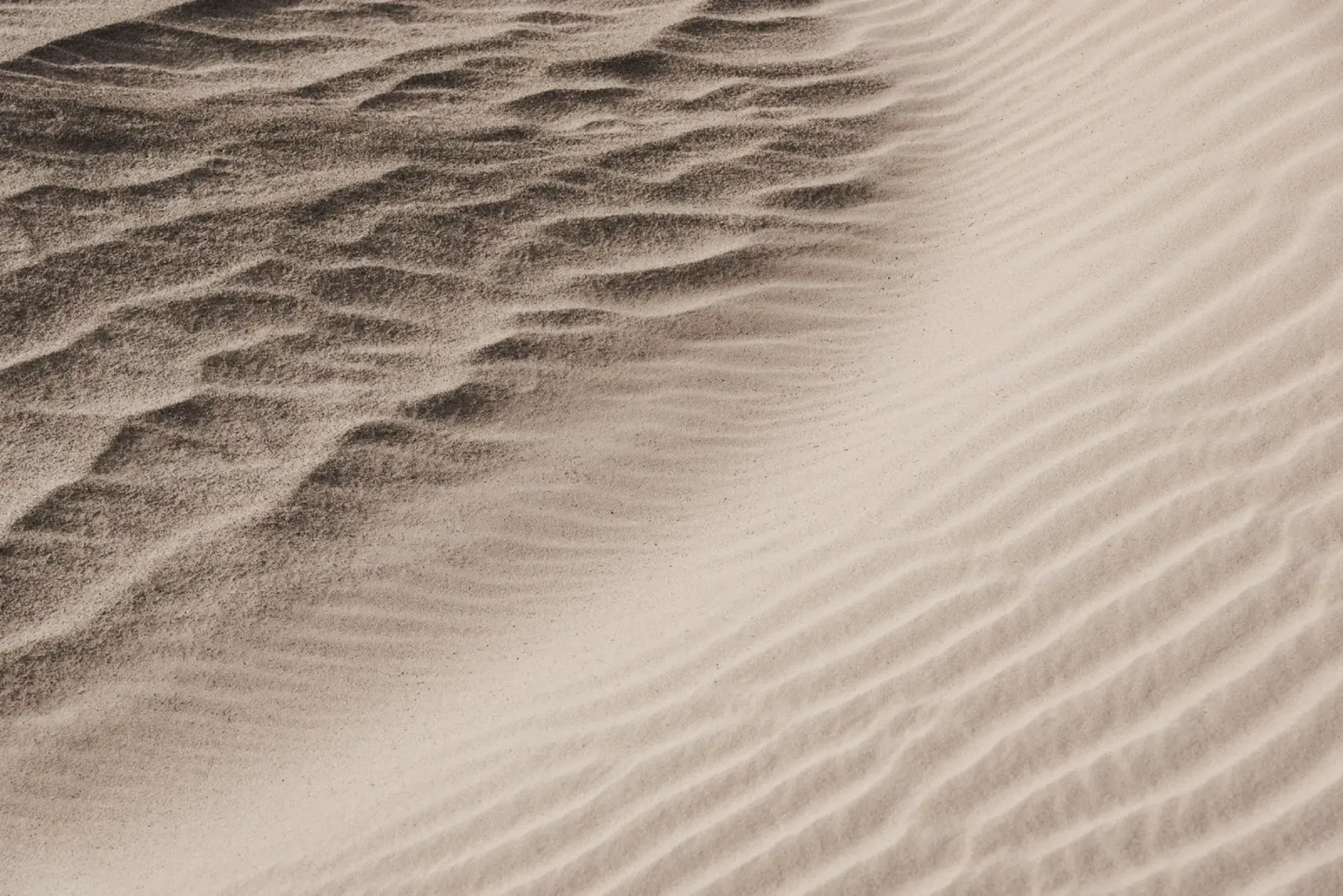 Sahara dune in Mauritania I pellicola backlit da photolovers