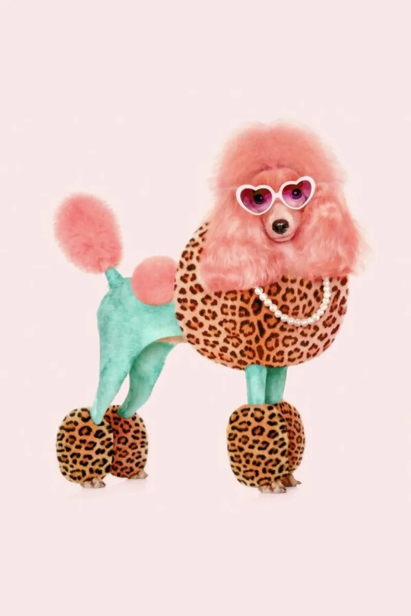 Funky Poodle alluminio dibond da Paul Fuentes Design