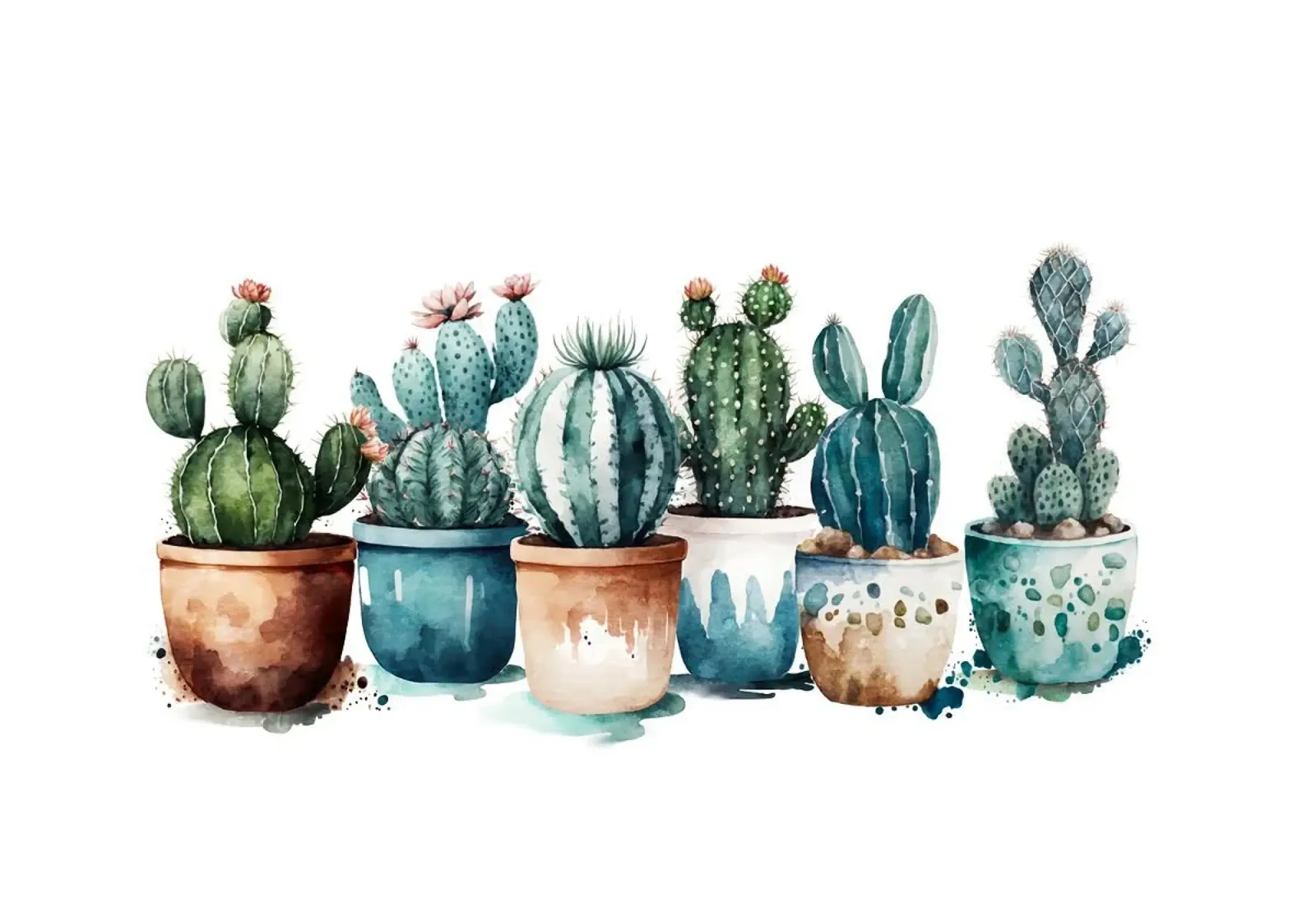 cacti flower pots poster with aluminum frame by Kevin Walters