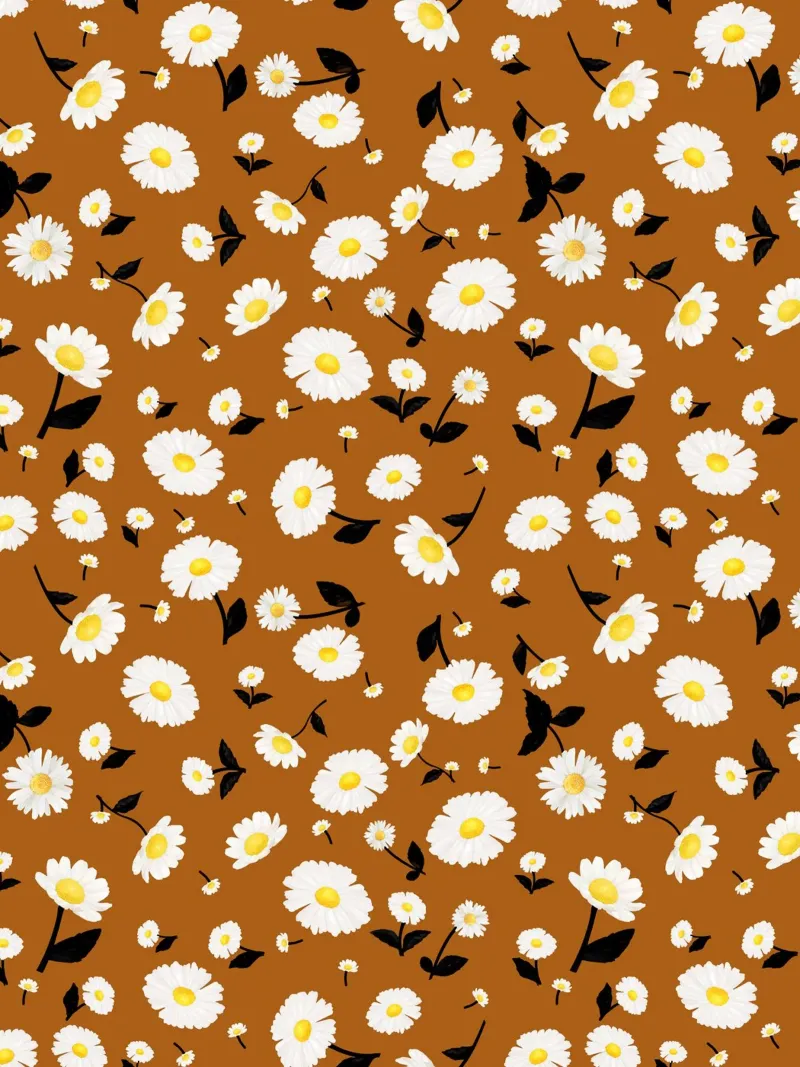 Daisies Pattern Rust Orange canvas by SilverPegasus