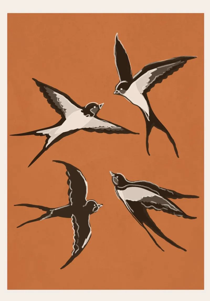 Flying Swallows pellicola backlit da Flow Line