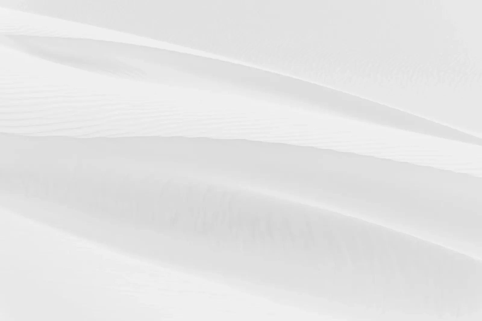 Minimalistic white nature pellicola backlit da photolovers