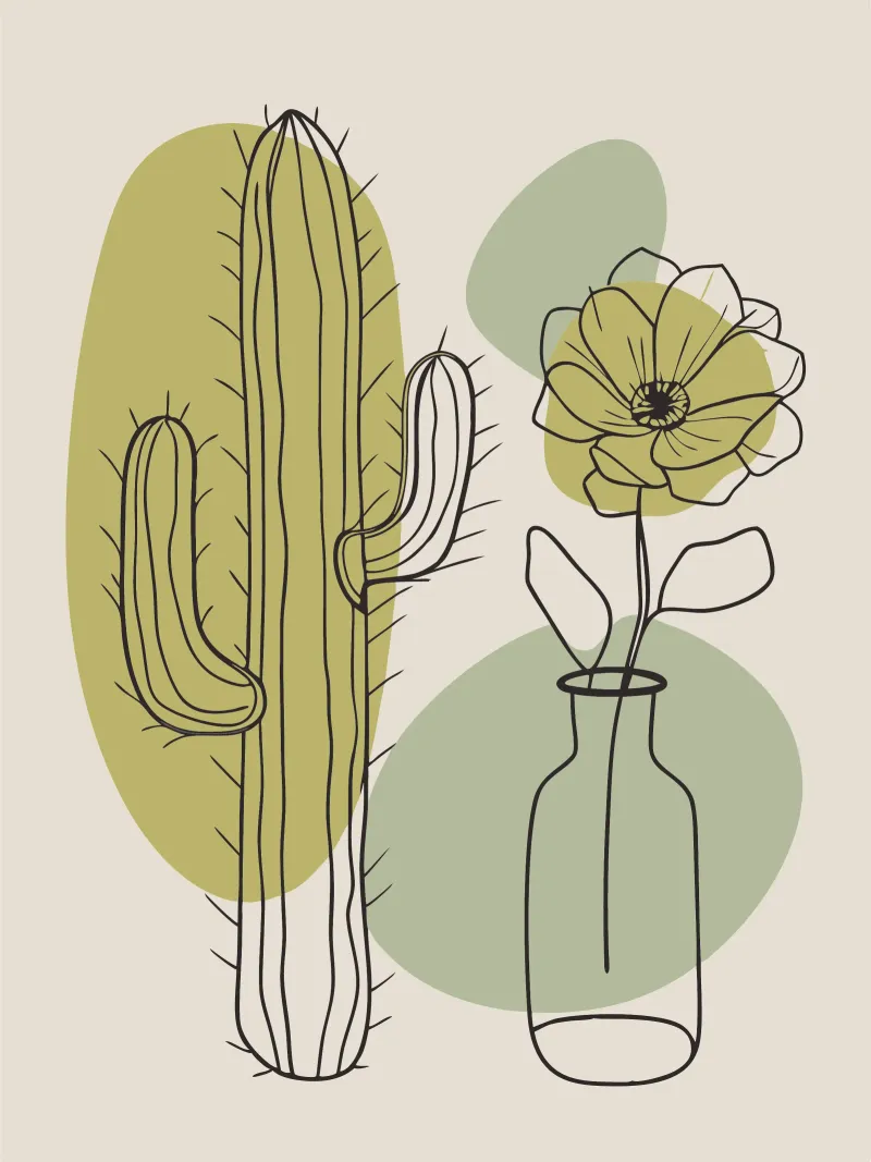 Cactus e fiori pellicola backlit da RELAXING TOUCH