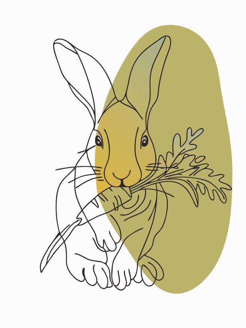 Rabbit Eats Carrots poster by RELAXING TOUCH