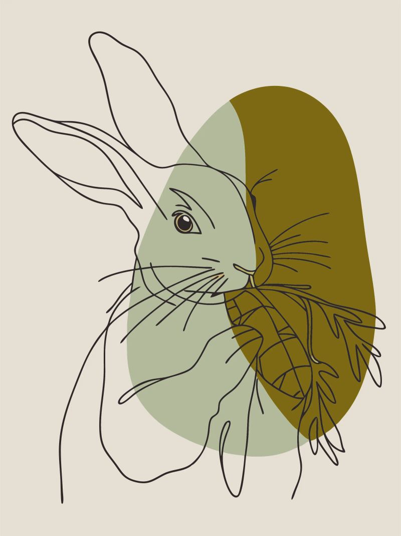 Rabbit Eats Carrots poster by RELAXING TOUCH