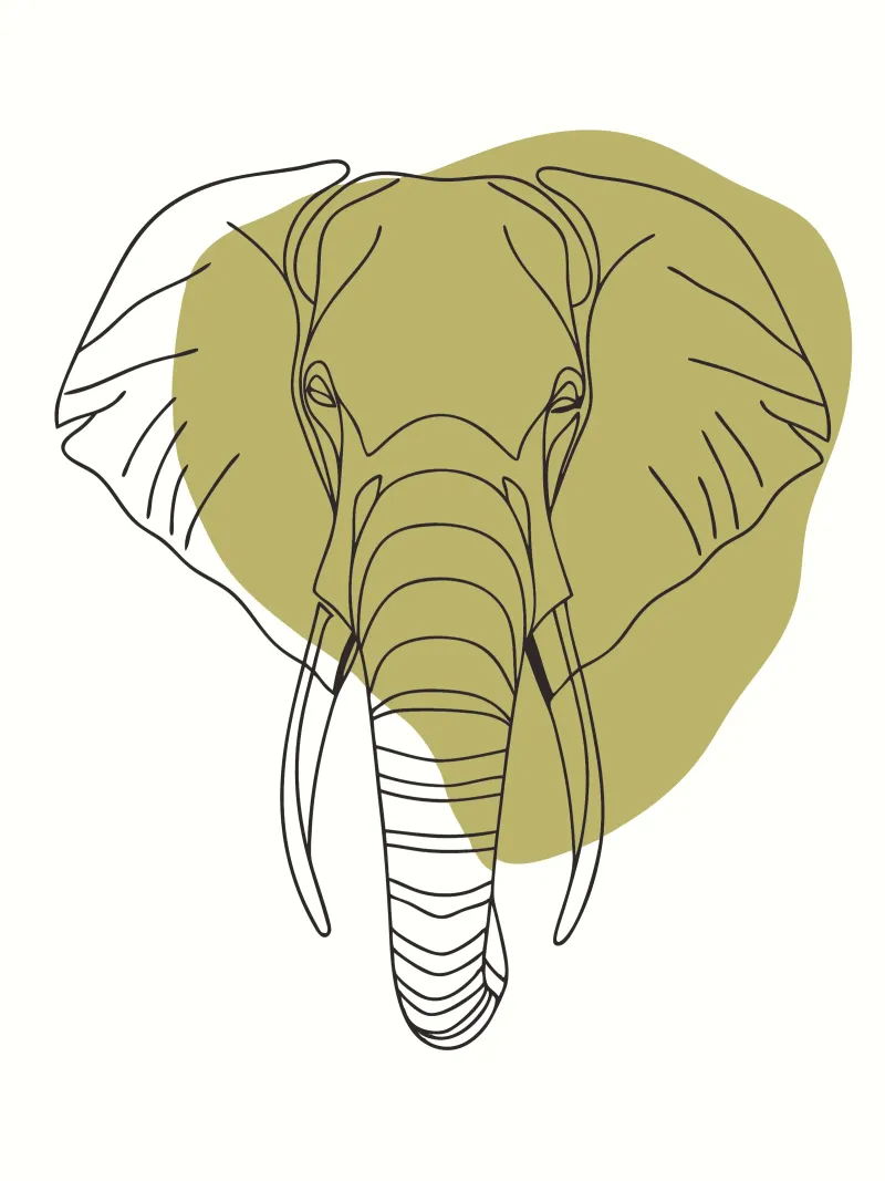 Elefante minimalista pellicola backlit da RELAXING TOUCH
