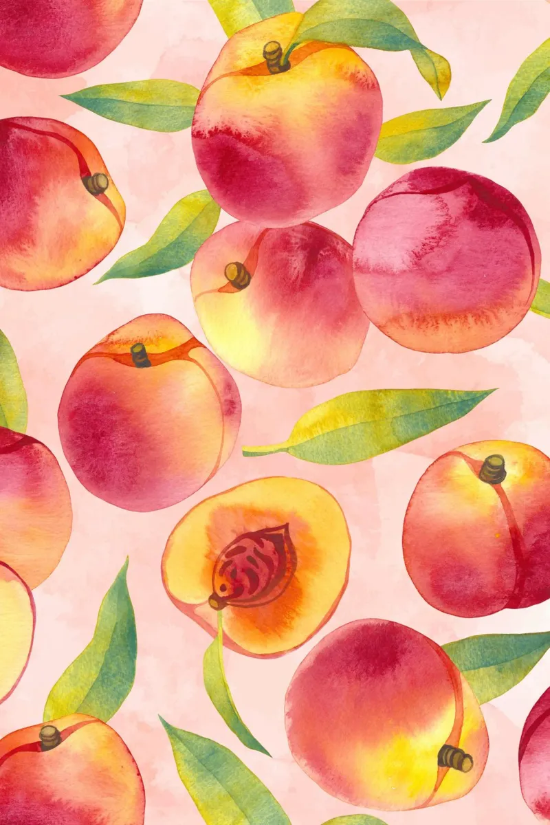 Stampa di pesche, poster di frutta ad acquerello poster con telaio in legno da Bella Studio