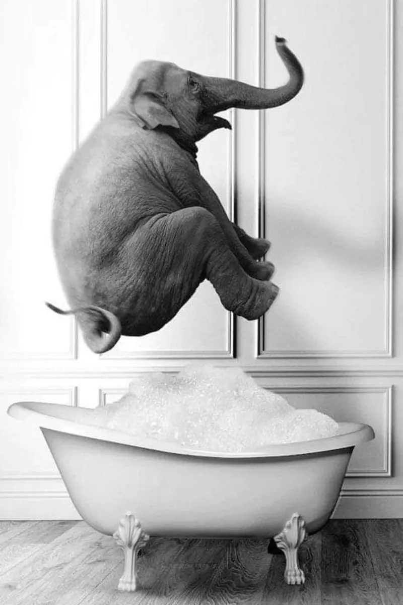 L'elefante volante poster con telaio in legno da christal shop