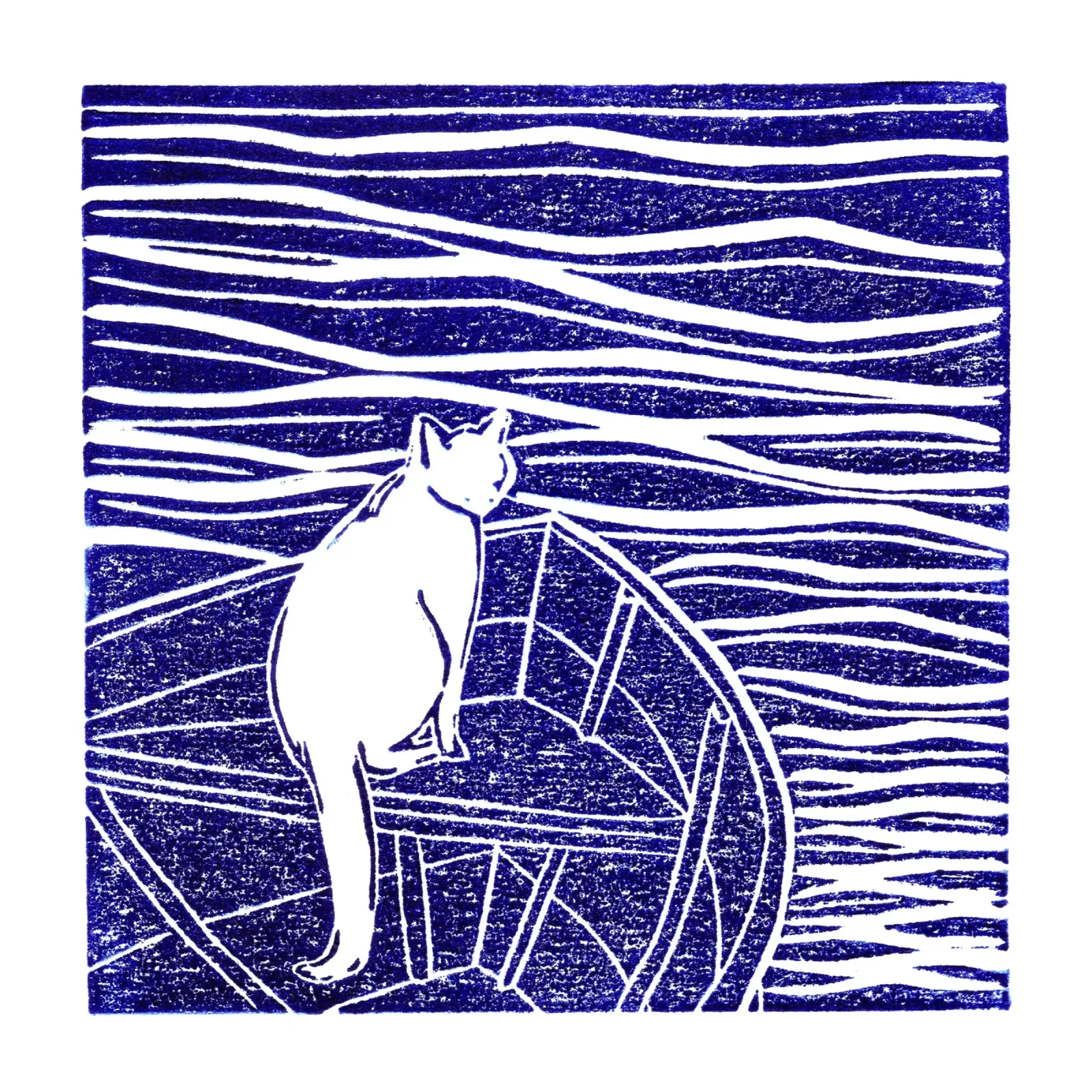 Mare, per favore! Capitano Purr pellicola backlit da Ivona Maris