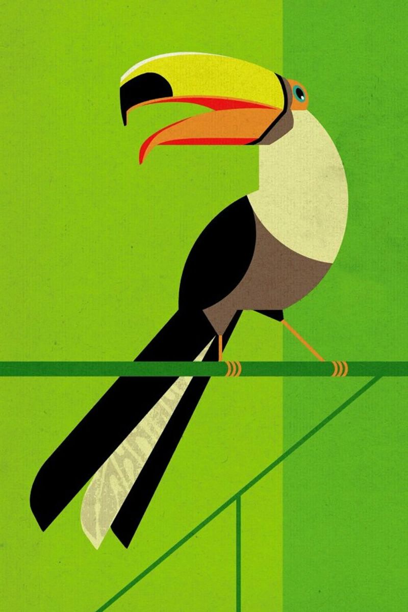 Toucan pellicola backlit da Dieter Braun