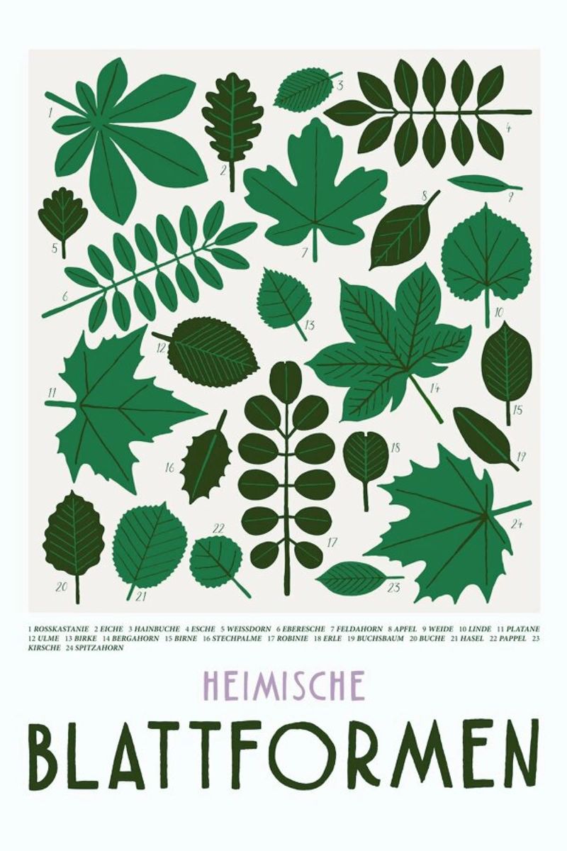 Blattformen Poster von typealive