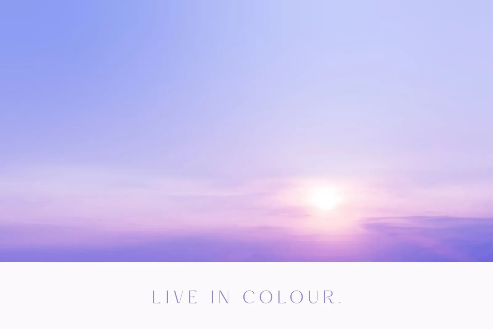 Live In Colour pellicola backlit da treechild