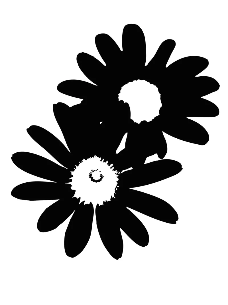Petal Echo pellicola backlit da Silhouetica