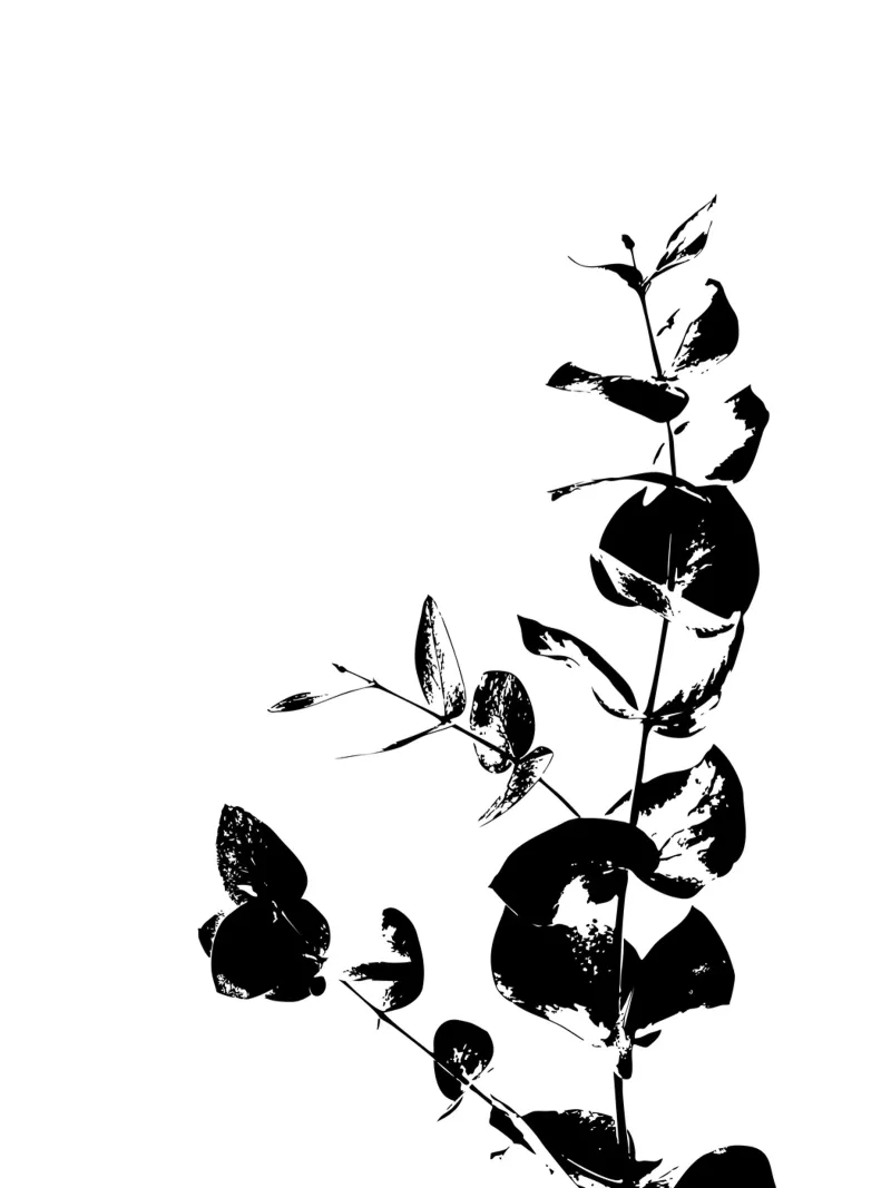 Fragmented Foliage pellicola backlit da Silhouetica