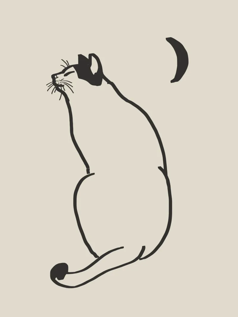 Disegno lineare di gatto 4 pellicola backlit da Little Dean