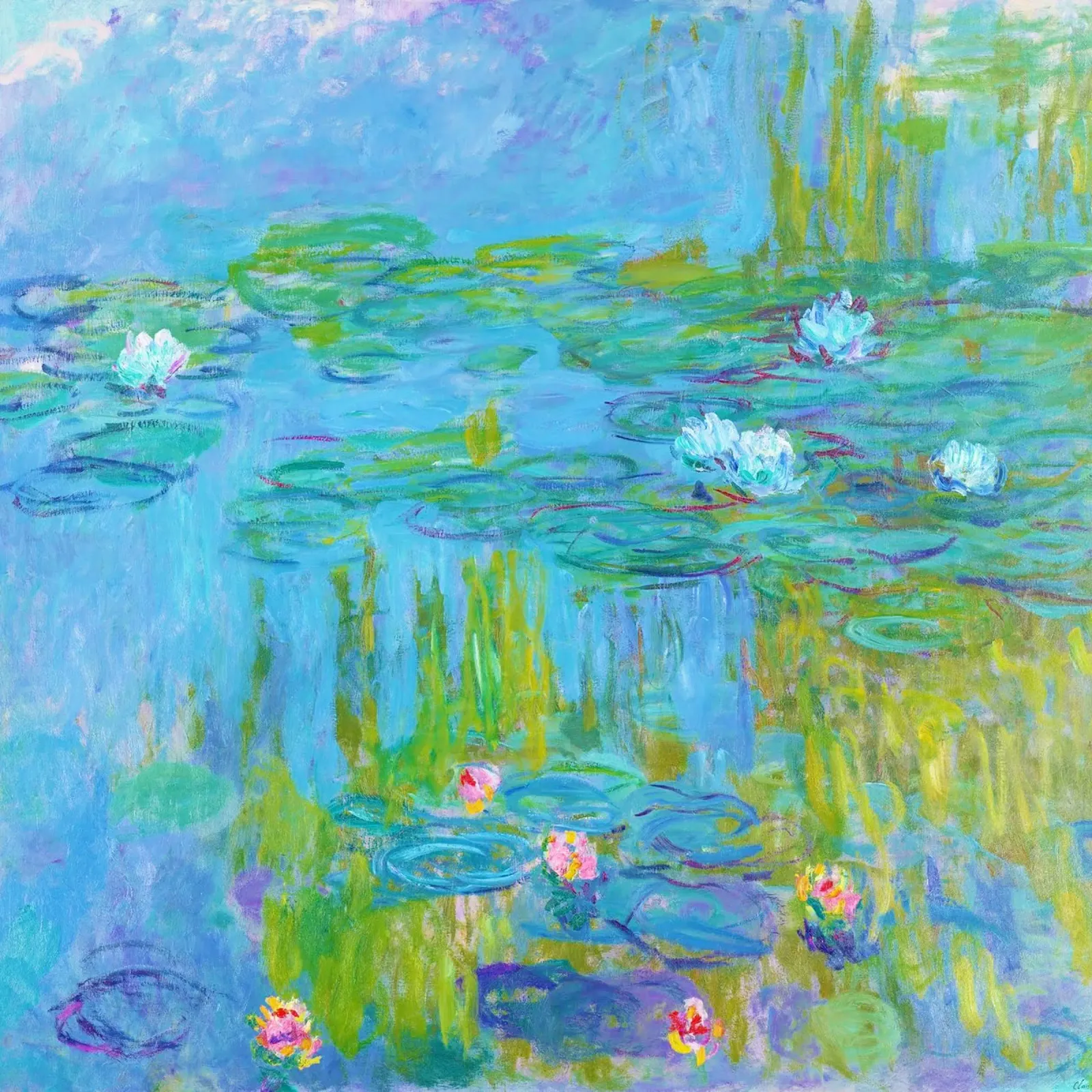 Le ninfee di Claude Monet pellicola backlit da Venus Art