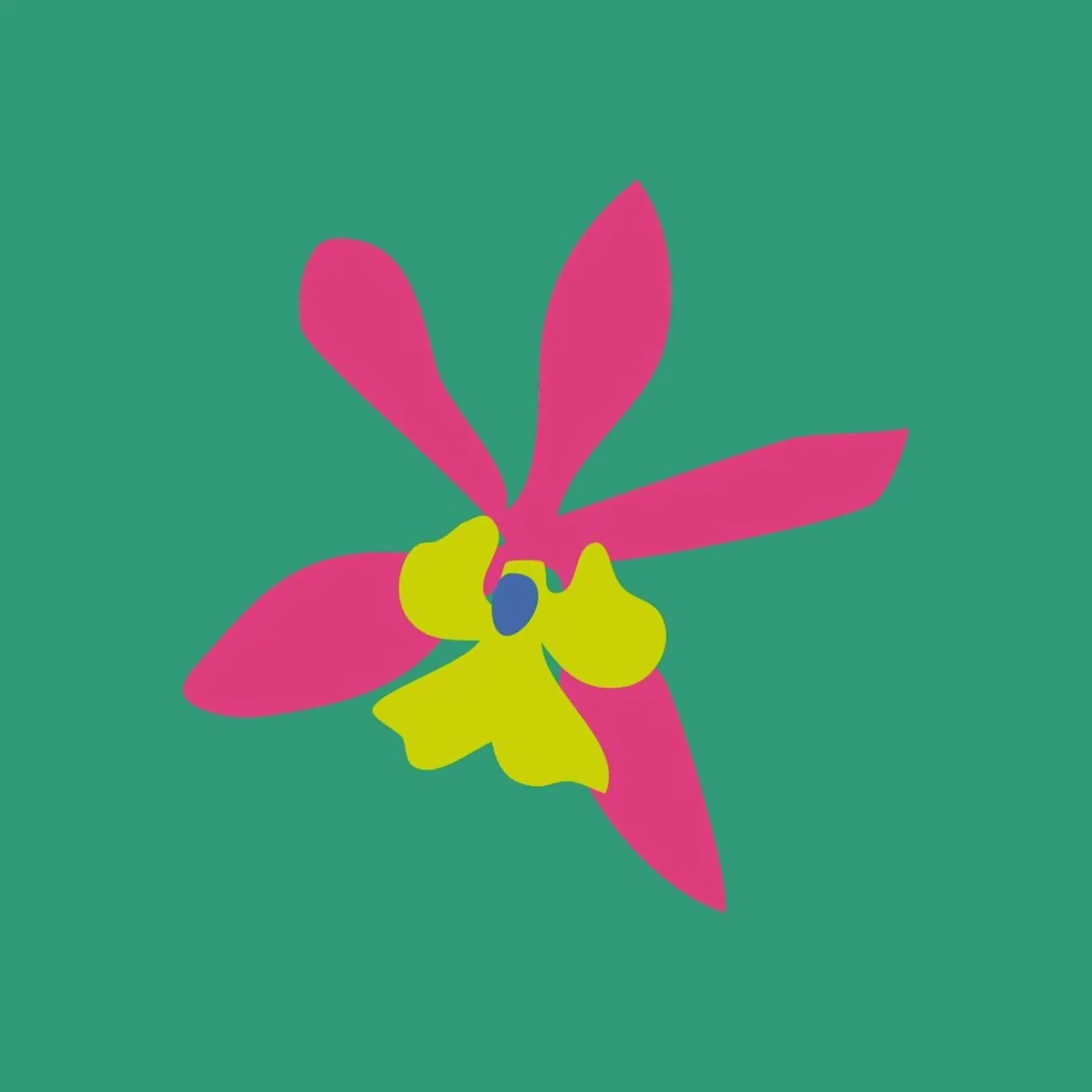 Orchid Illo Study carta hahnemühle da Mariery Young