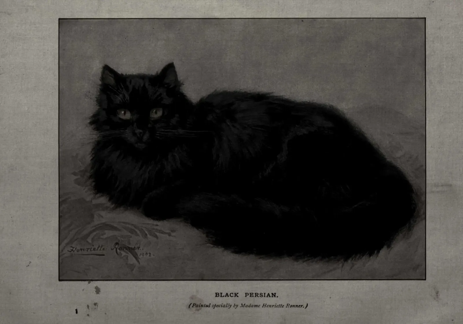 Henriëtte Ronner-Knip - Zwarte Perzische Kat - Vintage huisdier kunst canvas met Baklijst van ClubArt