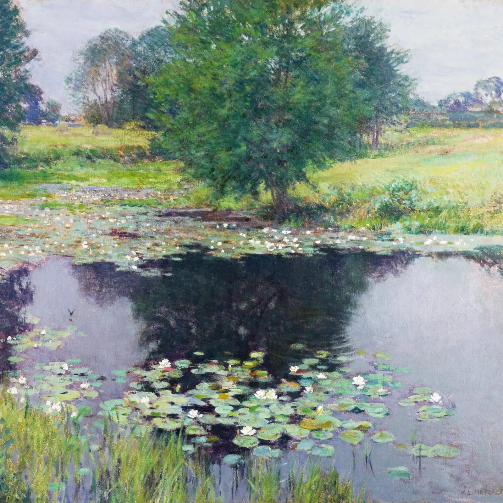 Gigli di stagno di Willard Leroy Metcalf pellicola backlit da Venus Art