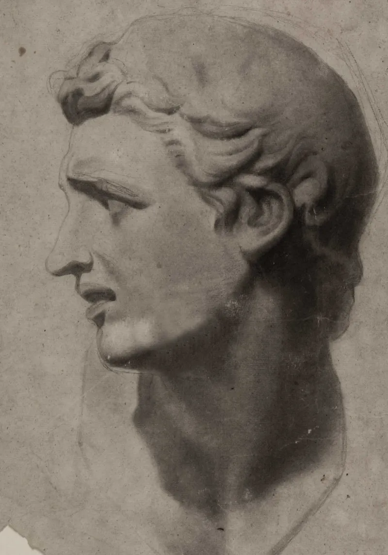 Vintage Academic Male Bust Study - Classical Drawing Art backlit film by ClubArt