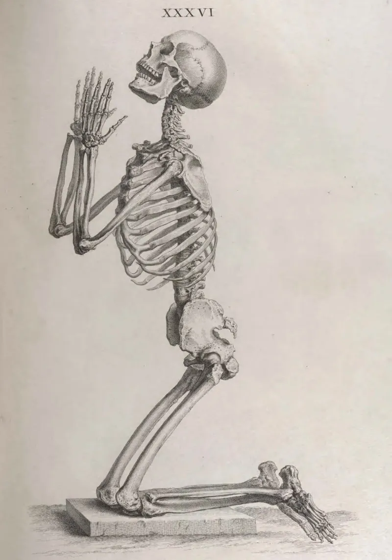 Vintage Biddend Skelet Anatomie - Dark Academia Medische Kunst canvas met Baklijst van ClubArt