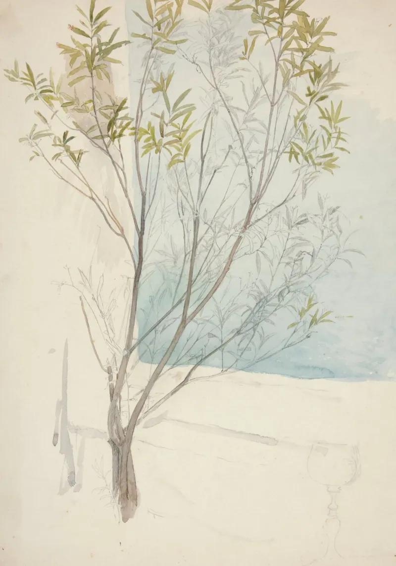 Studio di salice d'epoca - Arte botanica di Light Academia poster da ClubArt