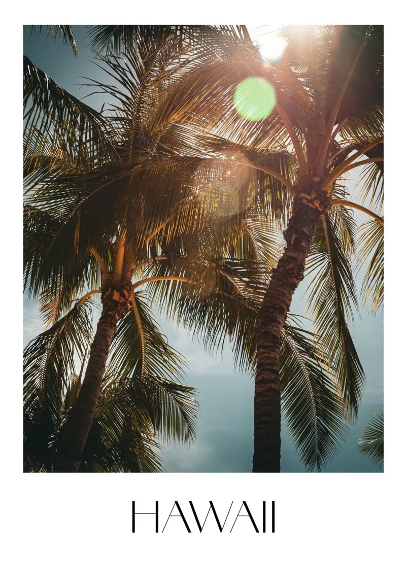 Hawaii carta hahnemühle da Flo Klein