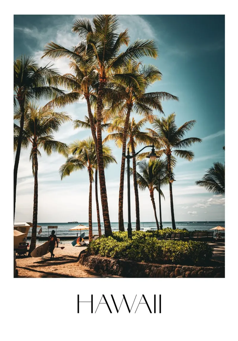 Hawaii pellicola backlit da Flo Klein