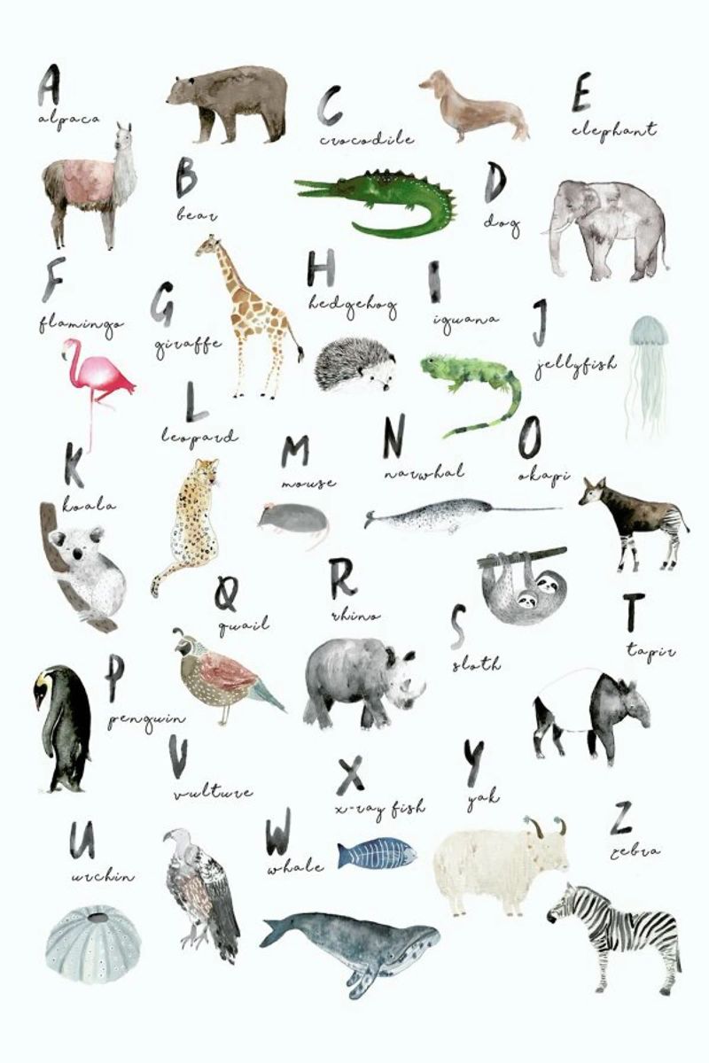 Animal Abc English Poster von Isabelle Vandeplassche