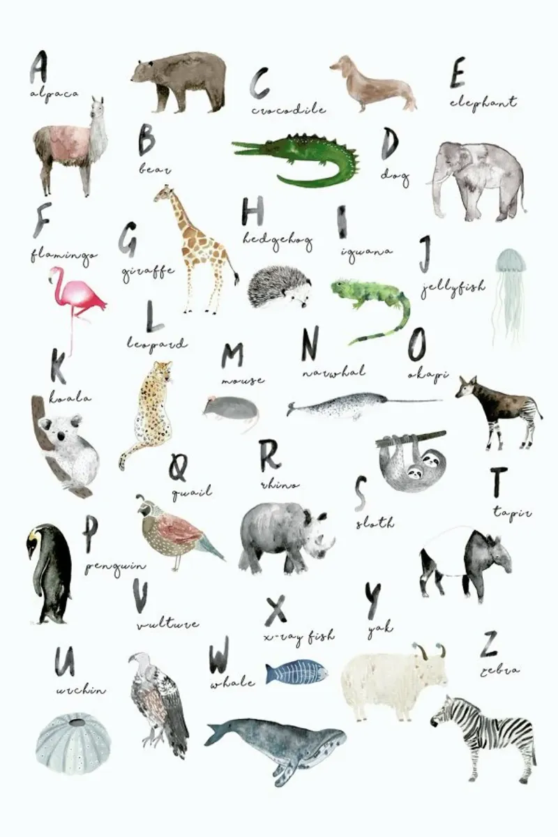 Animal Abc English acrylic glass by Isabelle Vandeplassche