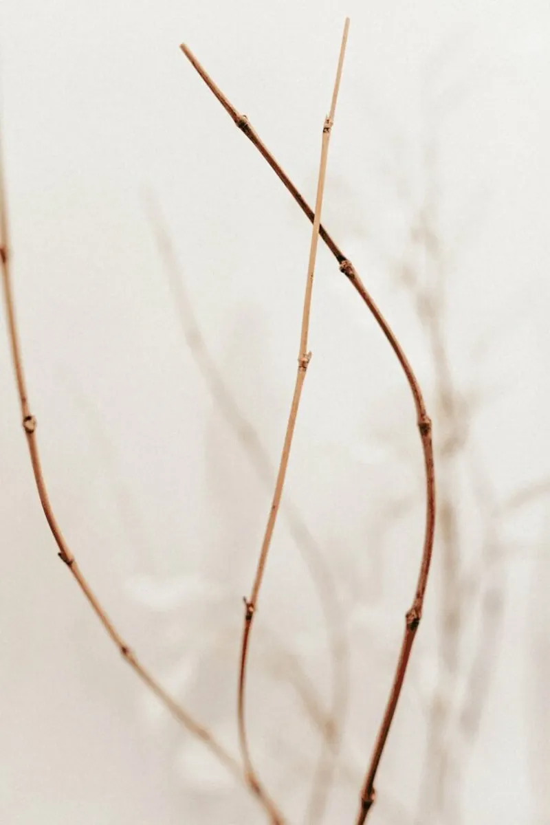 Abstract - Flowers III canvas by Sebastian Hilgetag