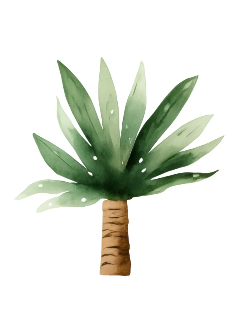 Stampa d'arte acquerellata di una mini palma - Decorazione tropicale tela con Cornice a cassetta da ClubArt