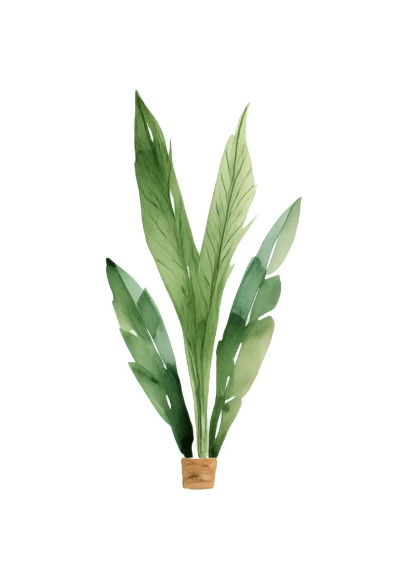 Tropische bladeren aquarel kunstdruk - Botanisch decor canvas met Baklijst van ClubArt