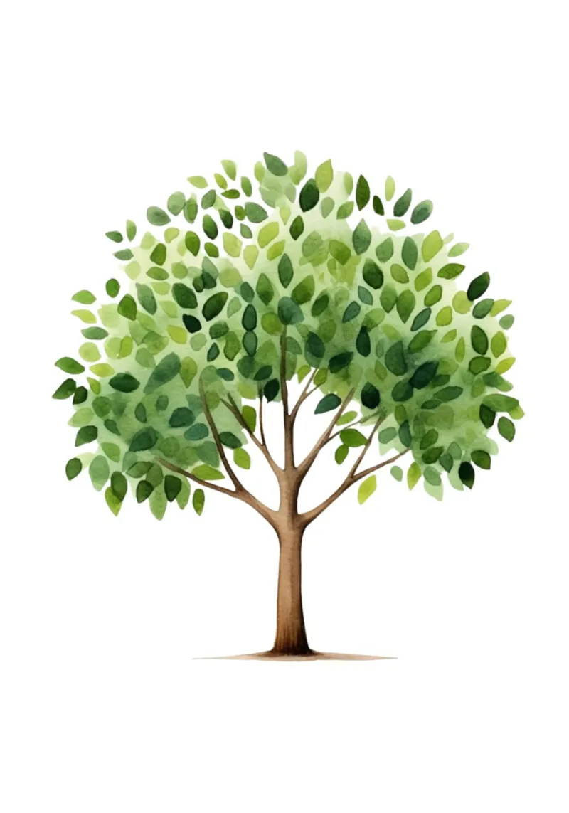 Lush Green Tree Watercolor Art Print - Nature & Woodland Dec canvas by ClubArt