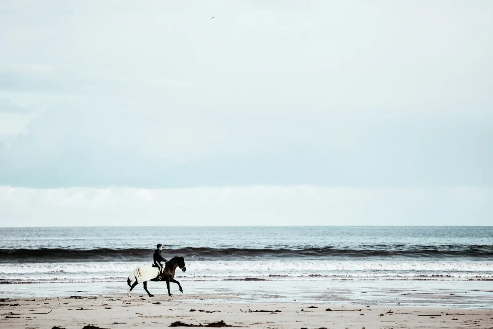 rider surf tela con Cornice a cassetta da Horsire