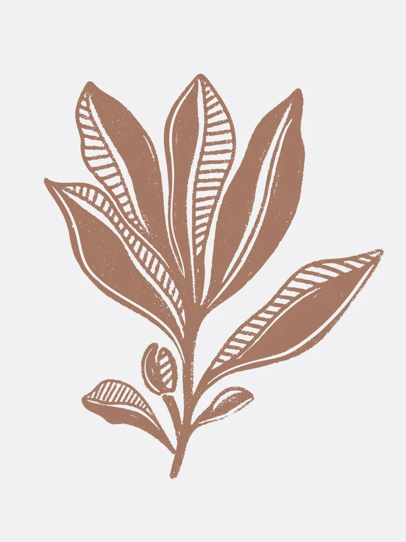 Mocha Foliage hahnemühle by Nikita Jariwala