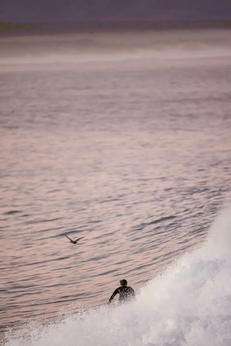 Birdman pellicola backlit da Shot By Clint