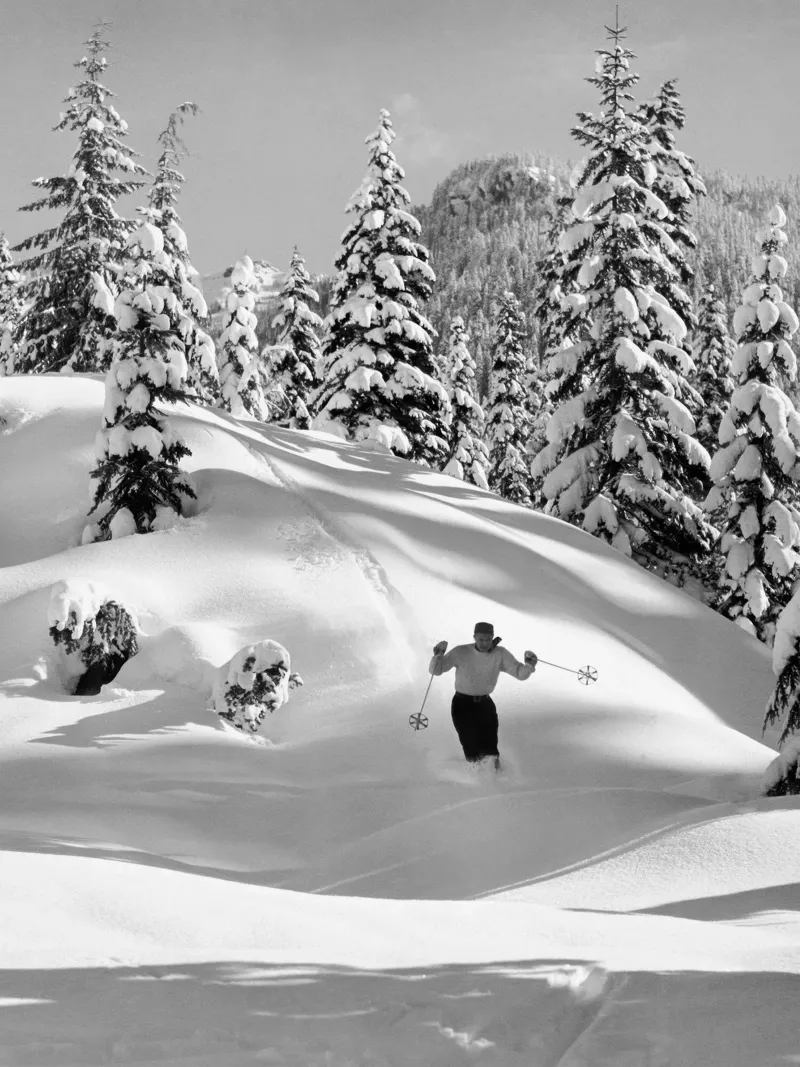 Sciatore sulla neve pellicola backlit da Greatest Figure