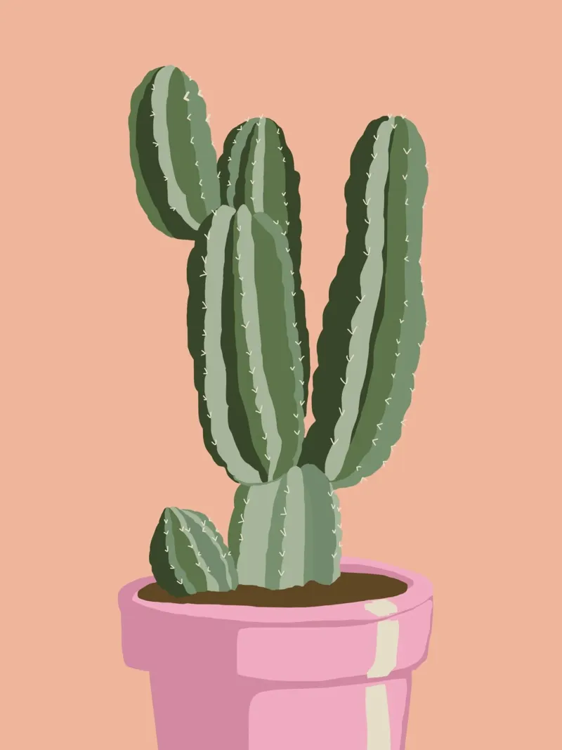 Cactus 01 plexiglass da Little Dean