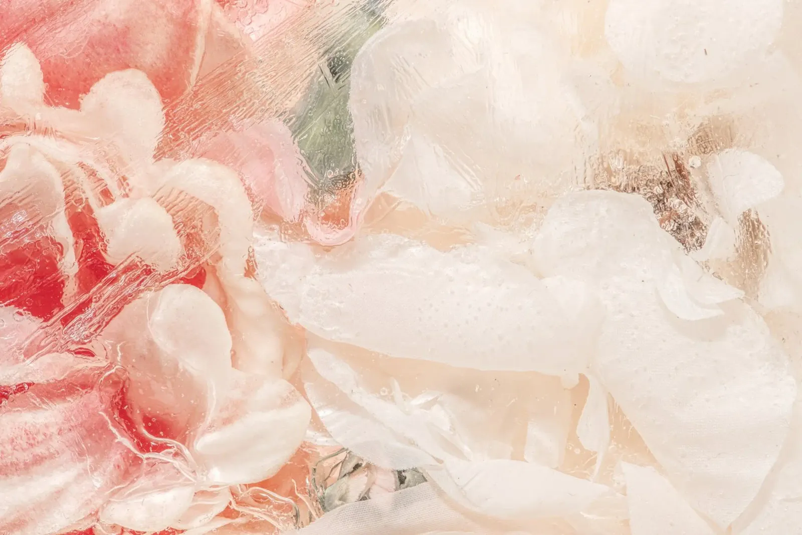 Frozen Peonies - Abstract Floral Ice Art Print canvas by NorwesClub