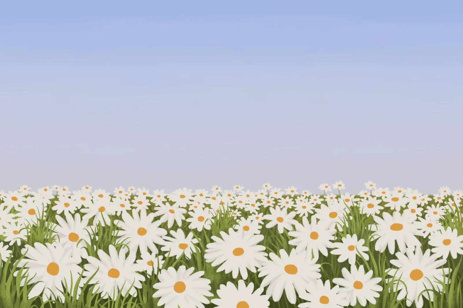 Daisy Field Serenity - Stampa floreale minimalista del paesaggio poster da NorwesClub