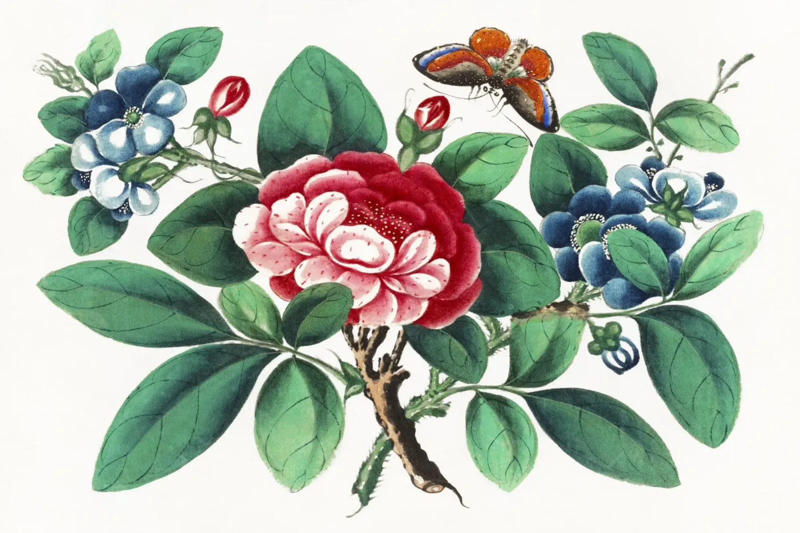Pittura cinese del XIX secolo con fiori e farfalle pellicola backlit da Venus Art