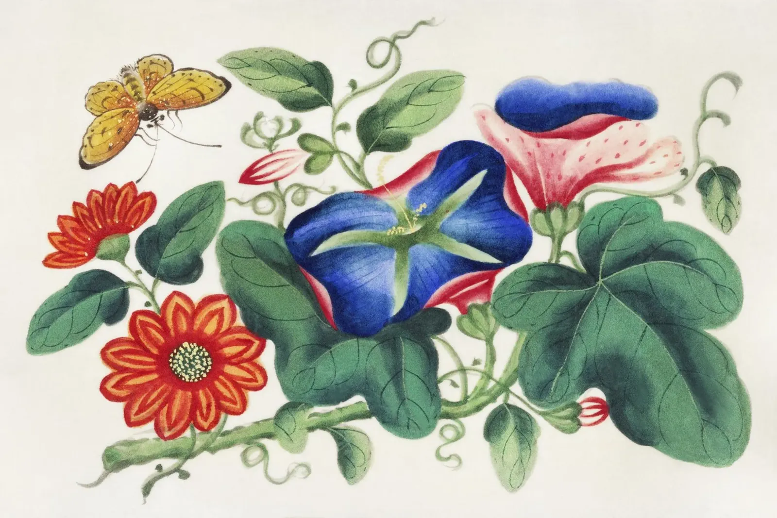 Pittura cinese del XIX secolo con fiori e farfalle pellicola backlit da Venus Art